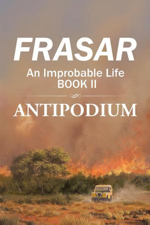 Cover of the book An Improbable Life Book Ii by Craig Stewart