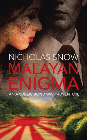 Cover of the book Malayan Enigma by Steven & Margaret Larson