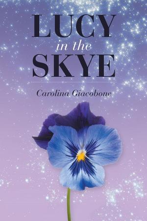 Cover of the book Lucy in the Skye by Karin Matey