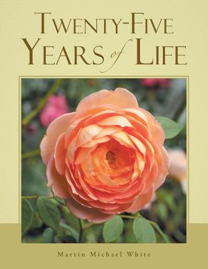 Cover of the book Twenty-Five Years of Life by Quebe Merritt Bradford