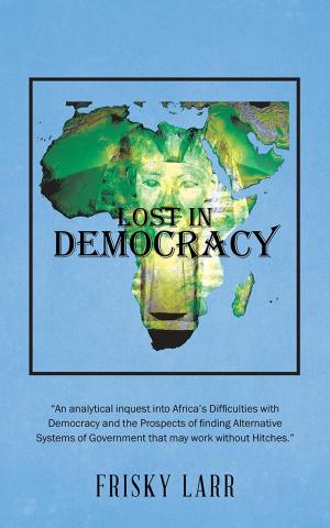 bigCover of the book Lost in Democracy by 
