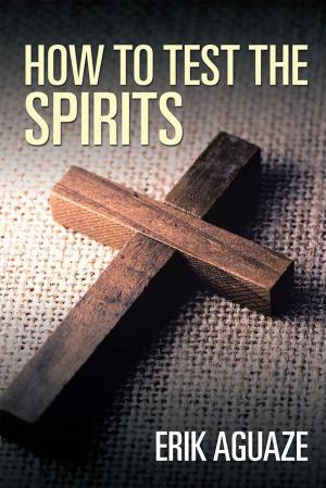 Cover of the book How to Test the Spirits by Richard Levesley