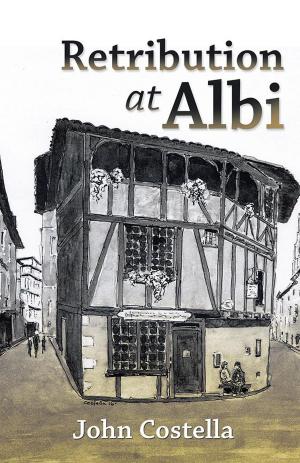 Cover of the book Retribution at Albi by Michael Merritt