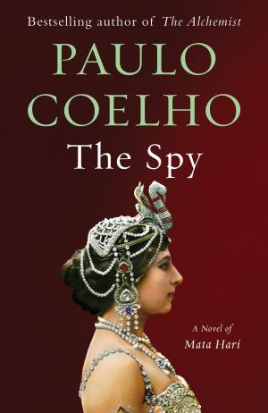 Cover of the book The Spy by Julia Hartwig