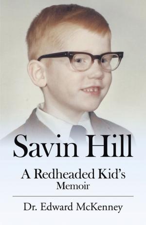 Cover of the book Savin Hill by Marvin J. Schuttloffel