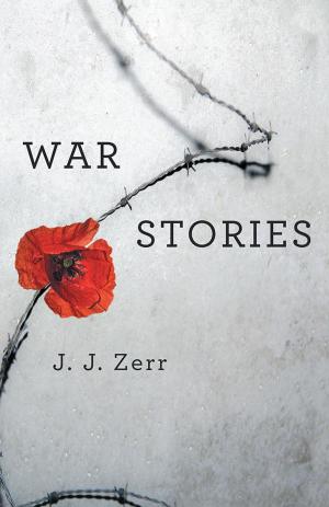Cover of the book War Stories by Vacir de Souza LMHC CAP CFAE