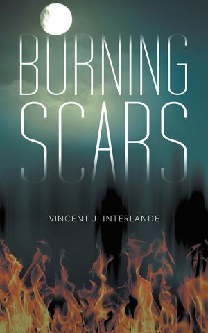 Cover of the book Burning Scars by D. B. Shuster