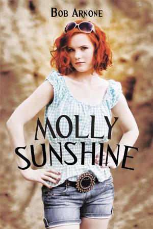 Book cover of Molly Sunshine