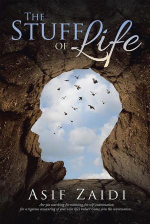 Cover of the book The Stuff of Life by James Shinn