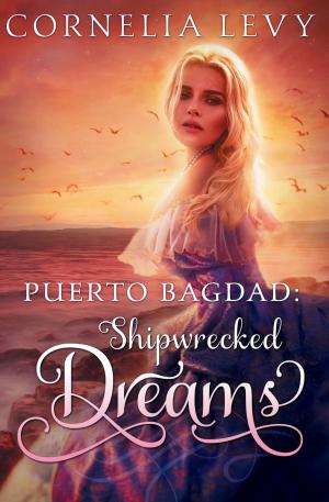Cover of the book Puerto Bagdad: Shipwrecked Dreams by Jon Garett