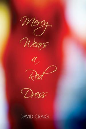 Cover of the book Mercy Wears a Red Dress by Diane Glancy
