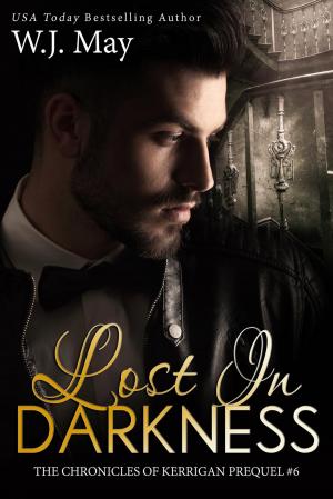 bigCover of the book Lost in Darkness by 