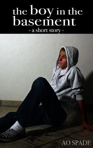 Cover of The Boy In The Basement - A Short Story