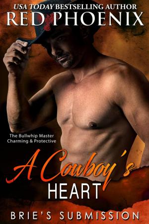 Cover of the book A Cowboy's Heart by Michelle Stevens, Red Phoenix