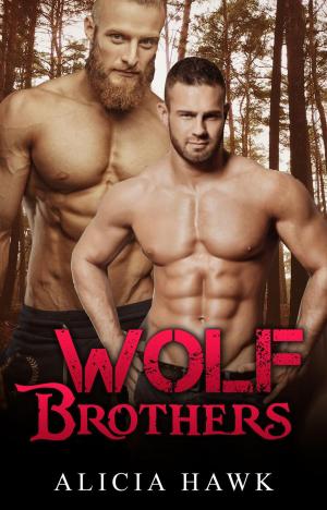 Cover of the book Wolf Brothers by Kita Bell