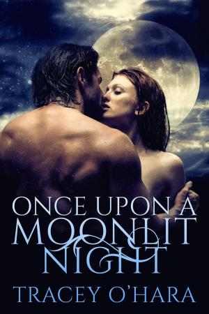 Book cover of Once Upon a Moonlit Night