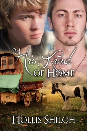Cover of the book His Kind of Home by Jamie A. Waters