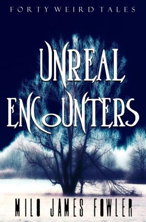 Cover of the book Unreal Encounters by Scott Overton