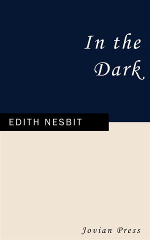 Cover of the book In the Dark by Seaton McKettrig
