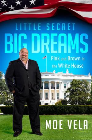 Cover of the book Little Secret Big Dreams by Adam Slutsky