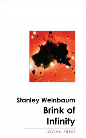 Cover of the book Brink of Infinity by GA Teske