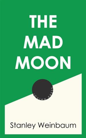 Cover of the book The Mad Moon by Max Heindel