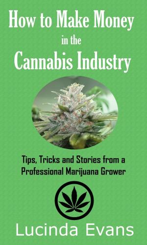 Cover of the book How to Make Money in the Cannabis Industry by Barry Silverstein