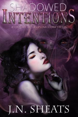 bigCover of the book Shadowed Intentions by 