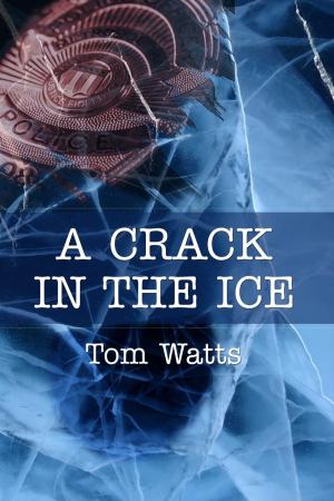 Book cover of A Crack in the Ice