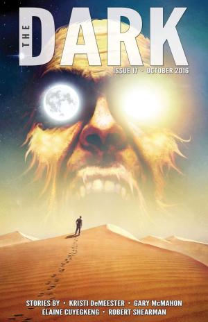 Book cover of The Dark Issue 17