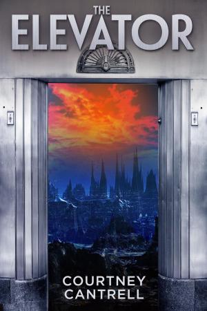 Cover of the book The Elevator by B.L. Mooney