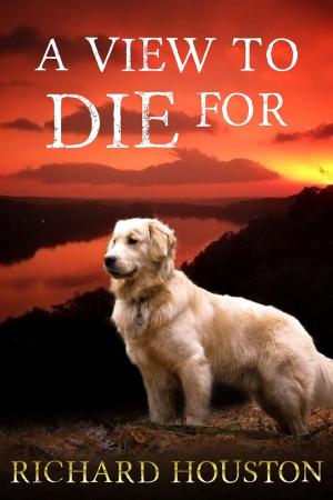 Book cover of A View to Die For