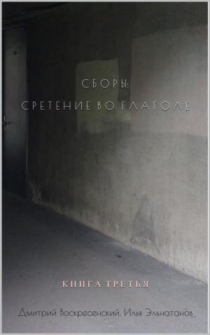 Cover of the book Сборы: Сретение во Глаголе: Книга третья by Michele Nigro