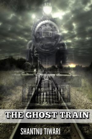 Cover of the book The Ghost Train by Anne Hope