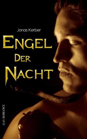 Cover of the book Engel der Nacht (Gay Romance) by Dustin Voneur
