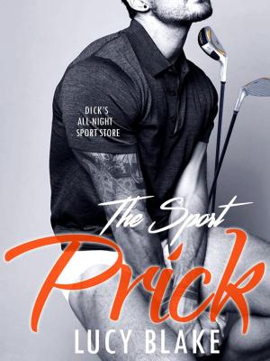 bigCover of the book THE PRICK - DICK CHALMERS - Bad Boy Older Man Younger Woman BBW Contemporary Romance Novel (Free Bonus Story Included) by 