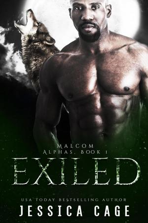 Cover of the book Exiled by Drew Avera