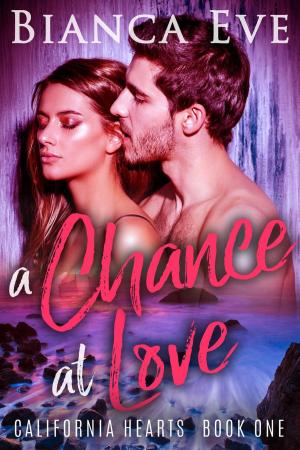 Cover of the book A Chance At Love by Rhonda Lee Carver