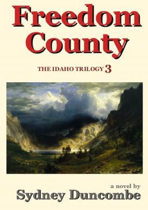 Cover of the book Freedom County by Siwa Rubin