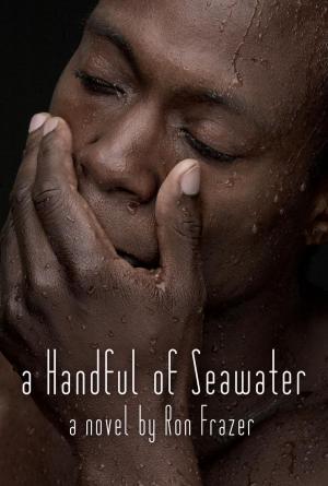 Book cover of A Handful of Seawater