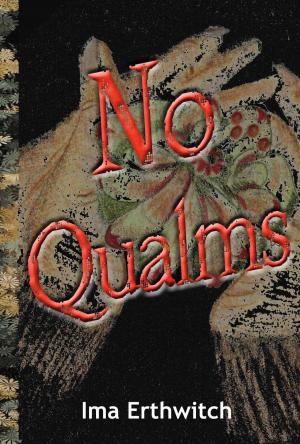 Cover of the book No Qualms by Valerie Zambito
