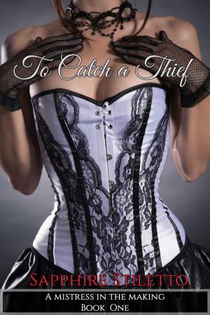 Book cover of To Catch A Thief