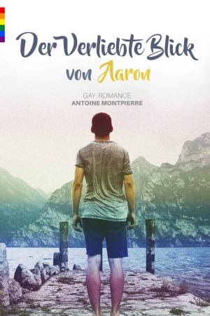 Cover of the book Der verliebte Blick von Aaron (Gay Romance) by Jonas Kerber