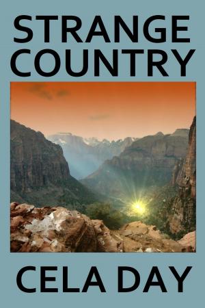 Cover of the book Strange Country by Alex Clermont