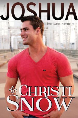 Cover of the book Joshua by Christi Snow, M.F. Smith