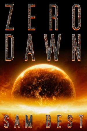 Cover of the book Zero Dawn by Maxine Rivers