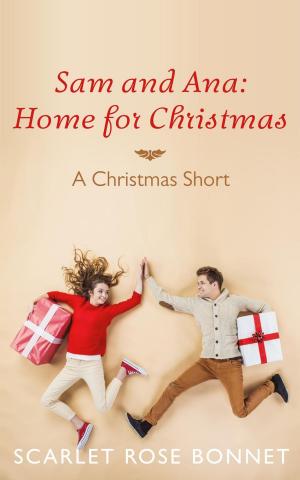 Cover of the book Sam and Ana: Home for Christmas by Ashley Blake