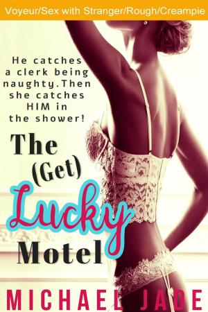 Cover of the book The (Get) Lucky Motel by Lauren K. McKellar