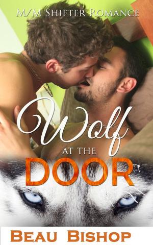 Cover of the book The Wolf at the Door by V. K. Walker
