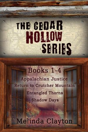 Cover of the book The Cedar Hollow Series: Books 1-4 by Megan Chance